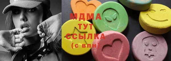 молекула духа Богданович