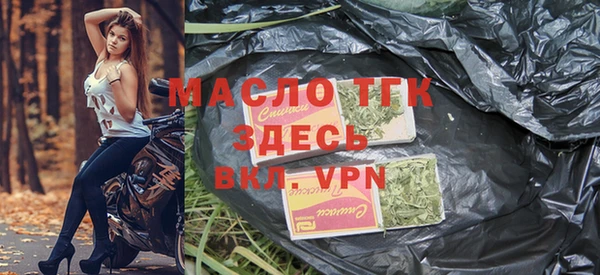 молекула духа Богданович