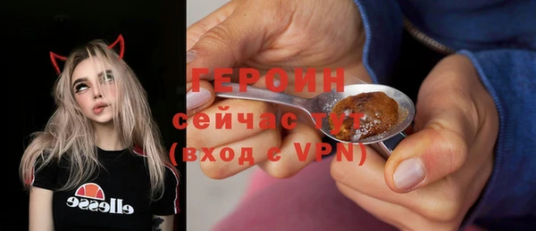 молекула духа Богданович