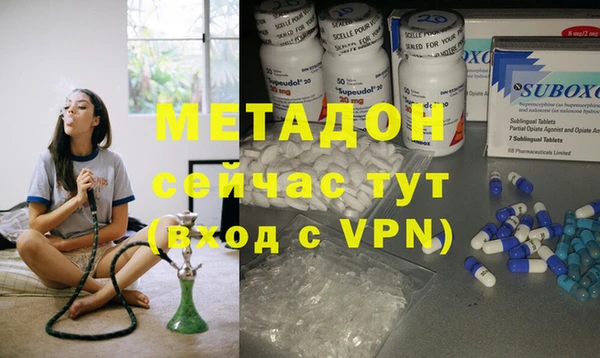 молекула духа Богданович