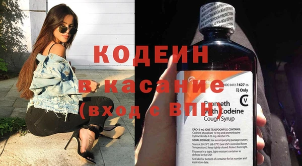 молекула духа Богданович