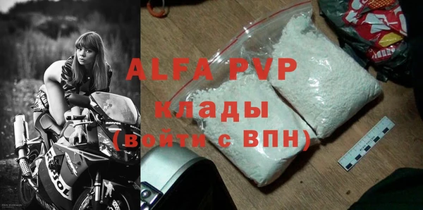 молекула духа Богданович