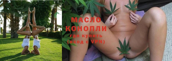молекула духа Богданович