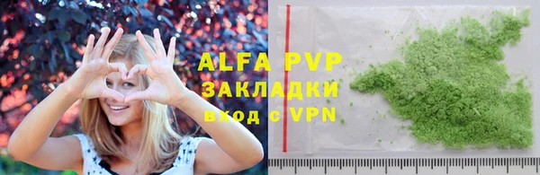 молекула духа Богданович