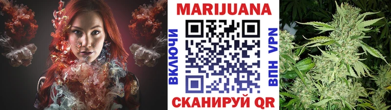 Конопля семена  Купить  Шумерля 